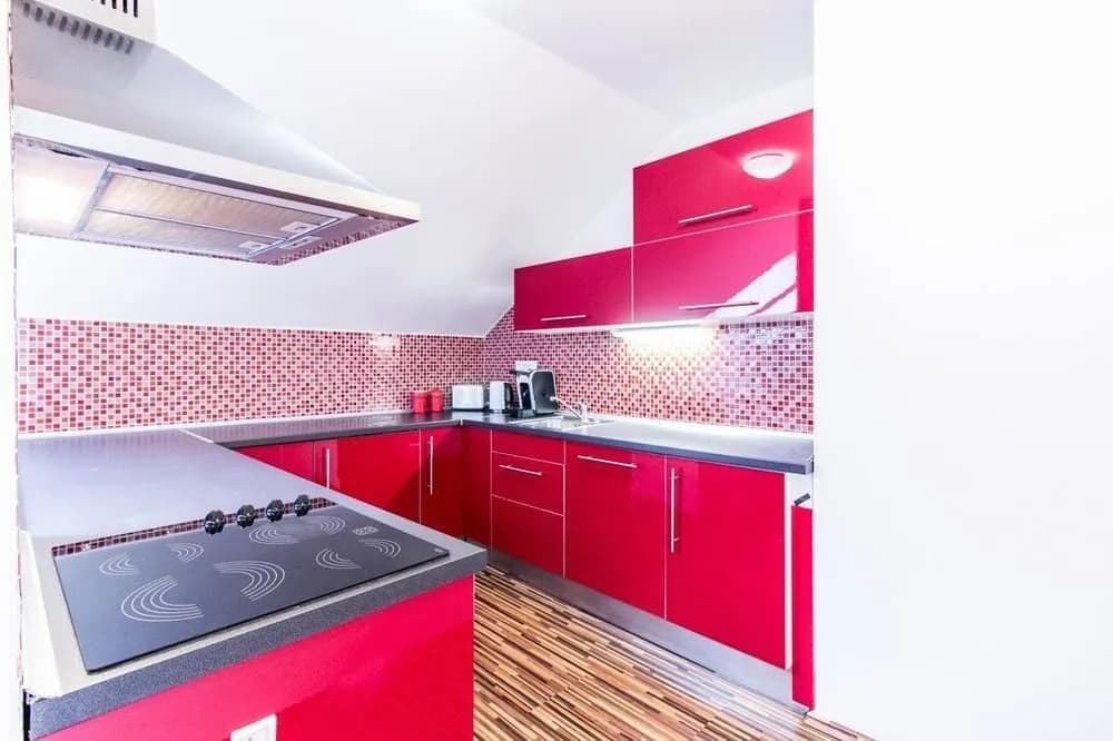 Centrum Apartments Podoli - photo 14