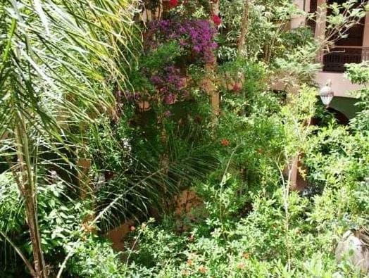 Riad Zouina - photo 31