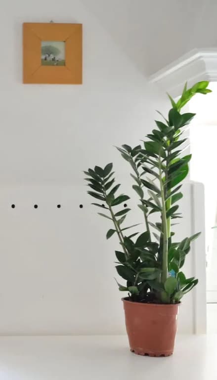 Loft Guardiani - photo 10