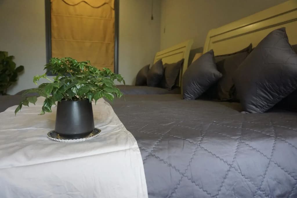 Ladybug Boutique Villa - photo 1