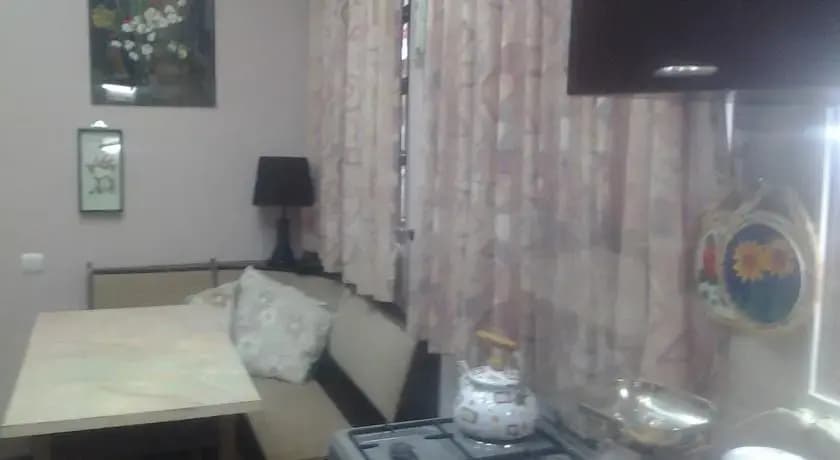 Apartment on Kikodze - photo 7