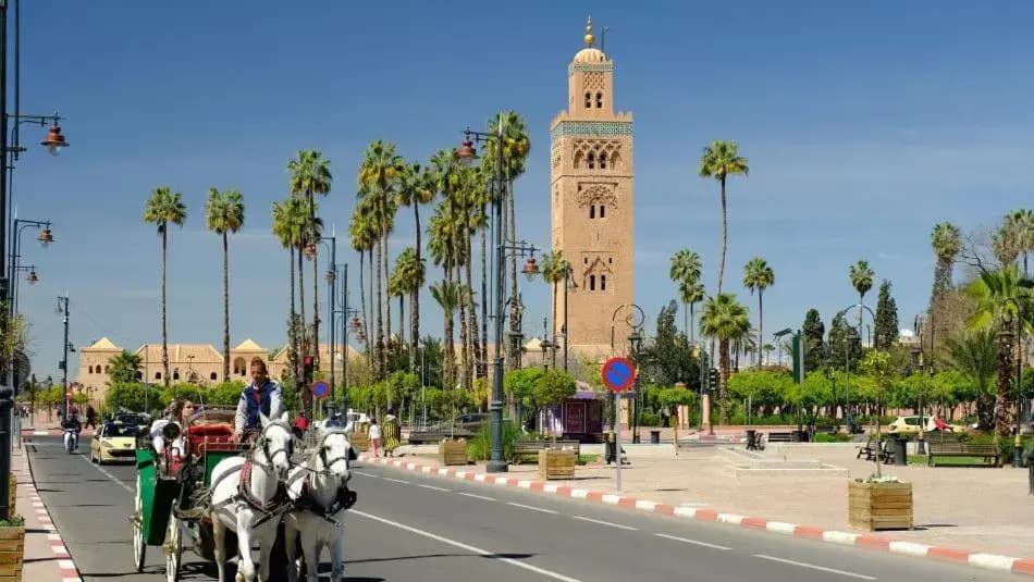 Riad 212 Marrakech Medina - photo 4