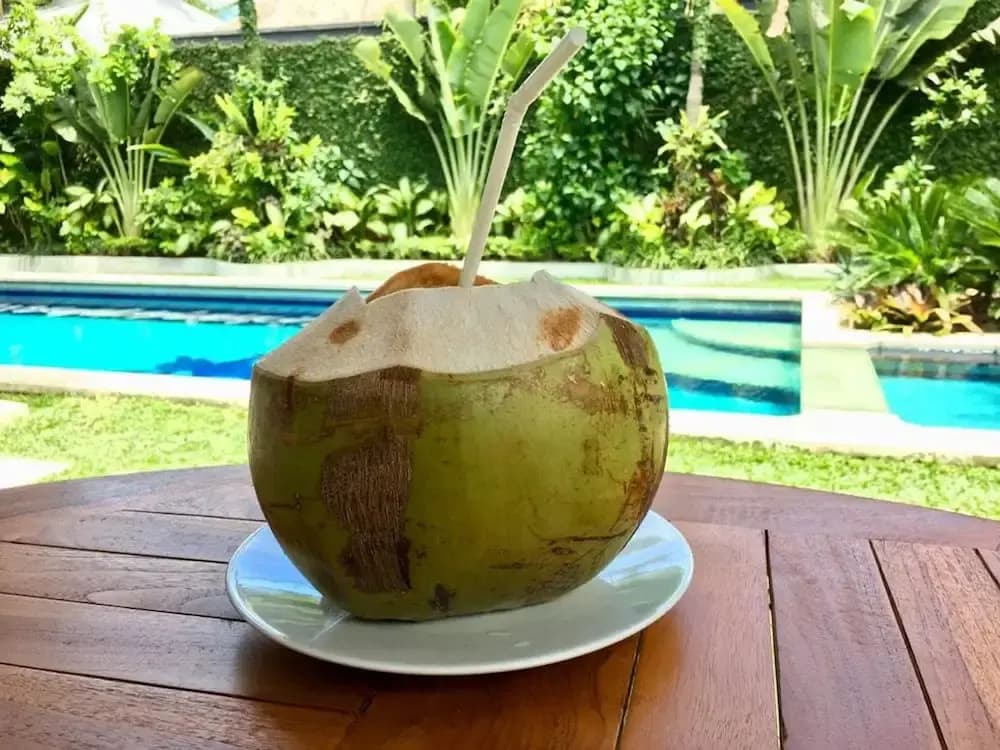 Villa Coconut Spring Canggu - photo 16