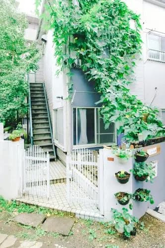 Tranquil Studio with Loft space Apts - photo 7