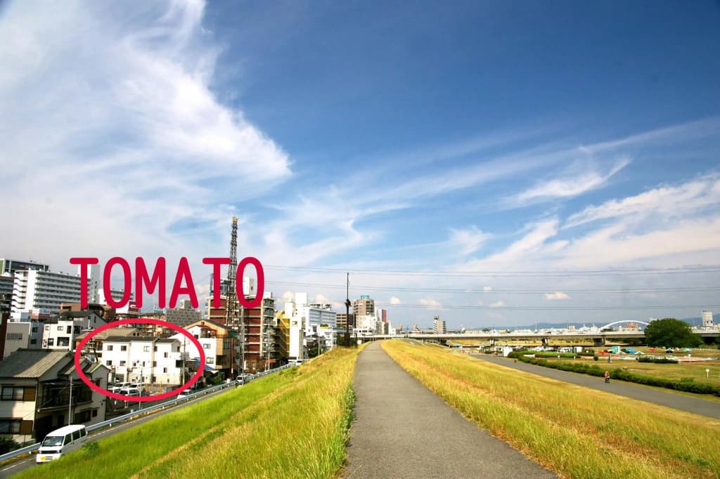 Osaka Tomato Hostel - photo 17