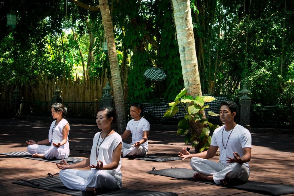 Plataran Ubud Hotel & Spa - photo 34