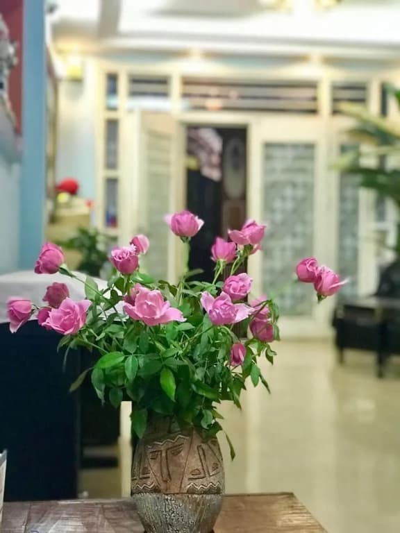 The Rose Home - photo 30