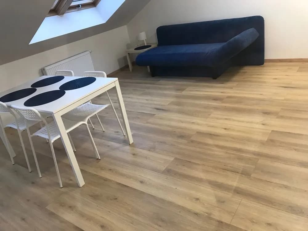 Blahnikova Apartments - photo 3