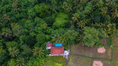 The Loyik Villa Ubud - photo 23