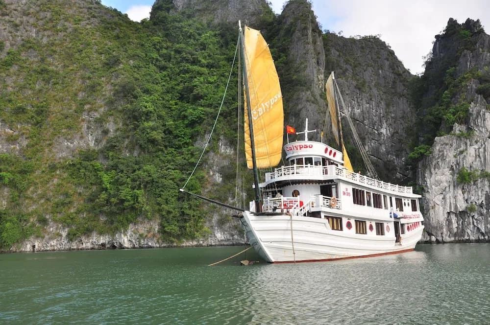 Calypso Cruiser - photo 12