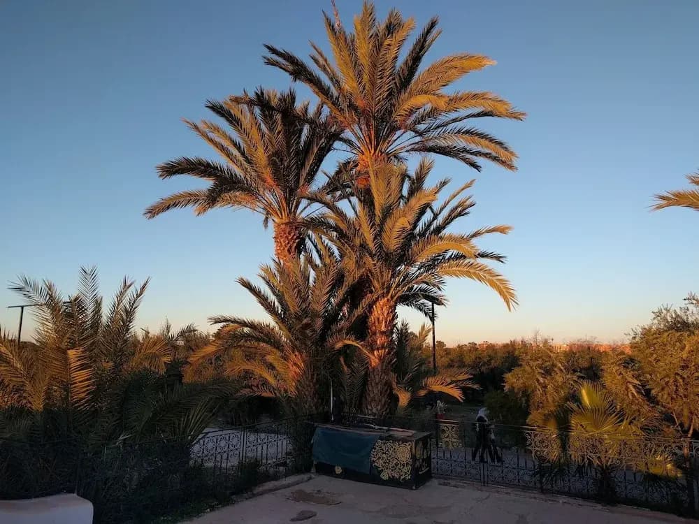 Apartment Marrakech at Omar - photo 11