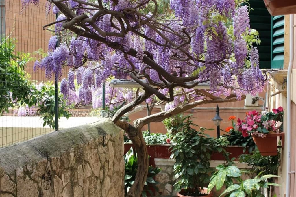 Hotel Pavia - photo 2