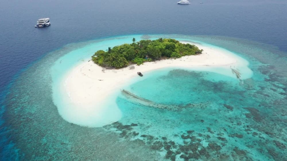 Manta Sea View - photo 9
