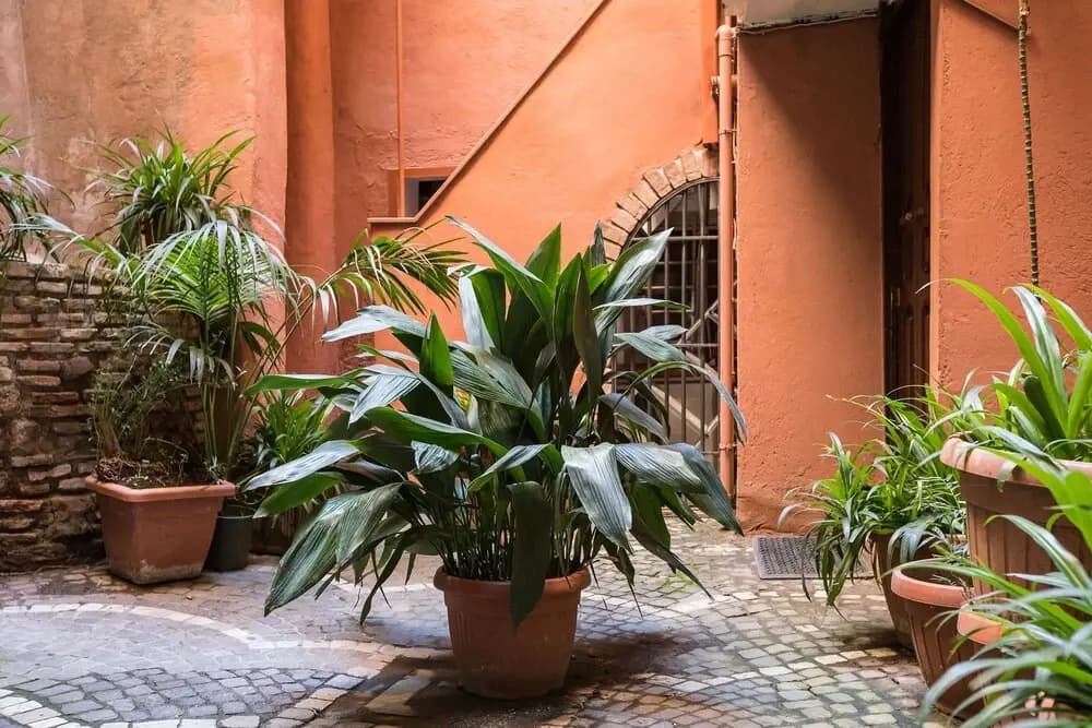 Studio Campo dei Fiori - photo 10