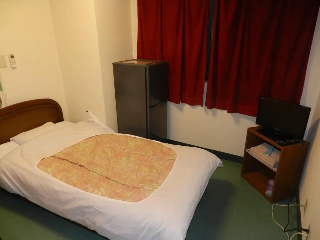 Hatoya Hotel - photo 5