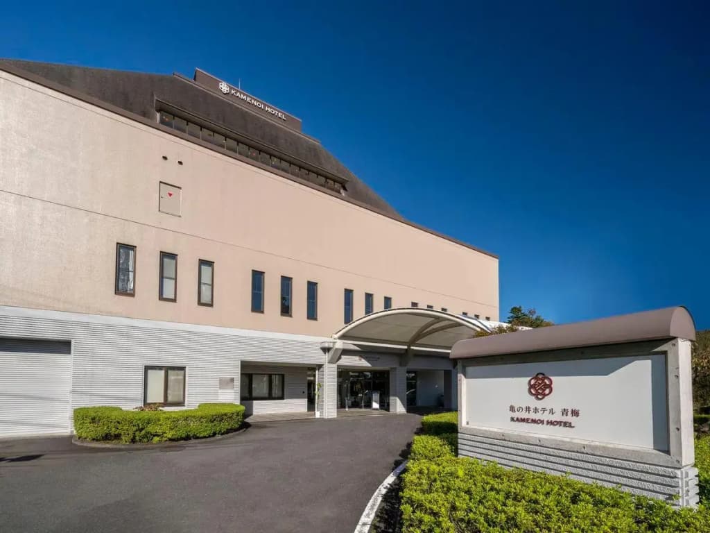 Kamenoi Hotel Ome - photo 1