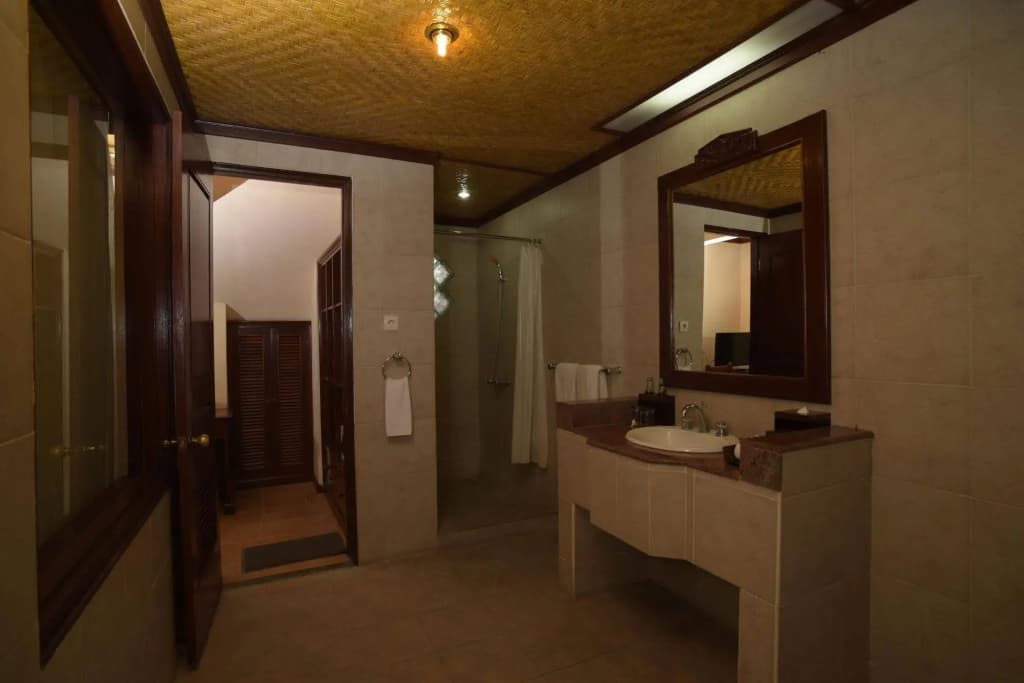 Sri Phala Resort & Villa - photo 8