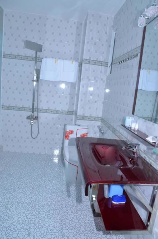Pink Pearl Hotel - photo 8