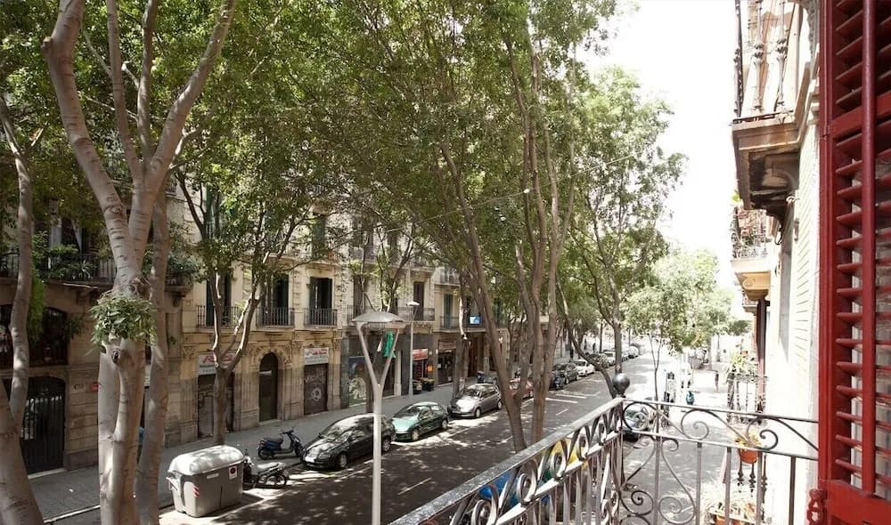 Alcam Borrell Big - photo 11