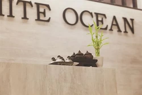 Ocean Bangkok - photo 1
