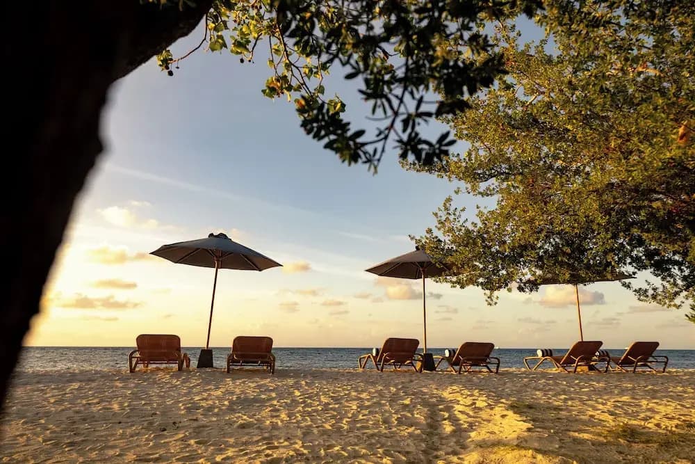 Cocomo Maldives - photo 24