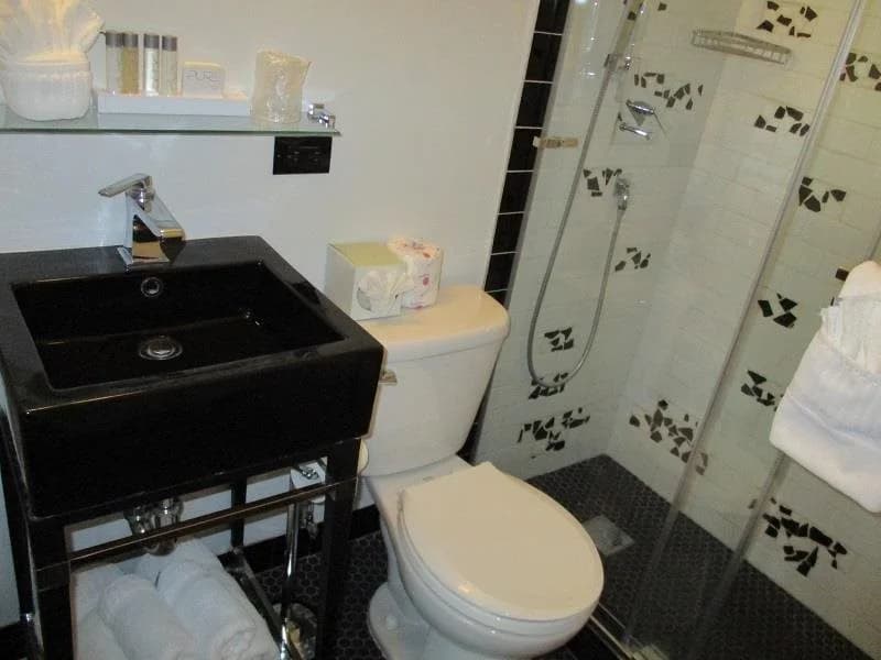 The Mayfair Hotel Los Angeles - photo 10