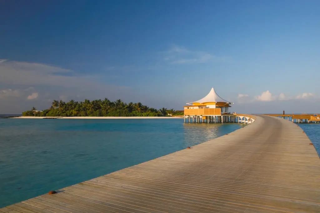 Cinnamon Hakuraa Huraa - photo 2