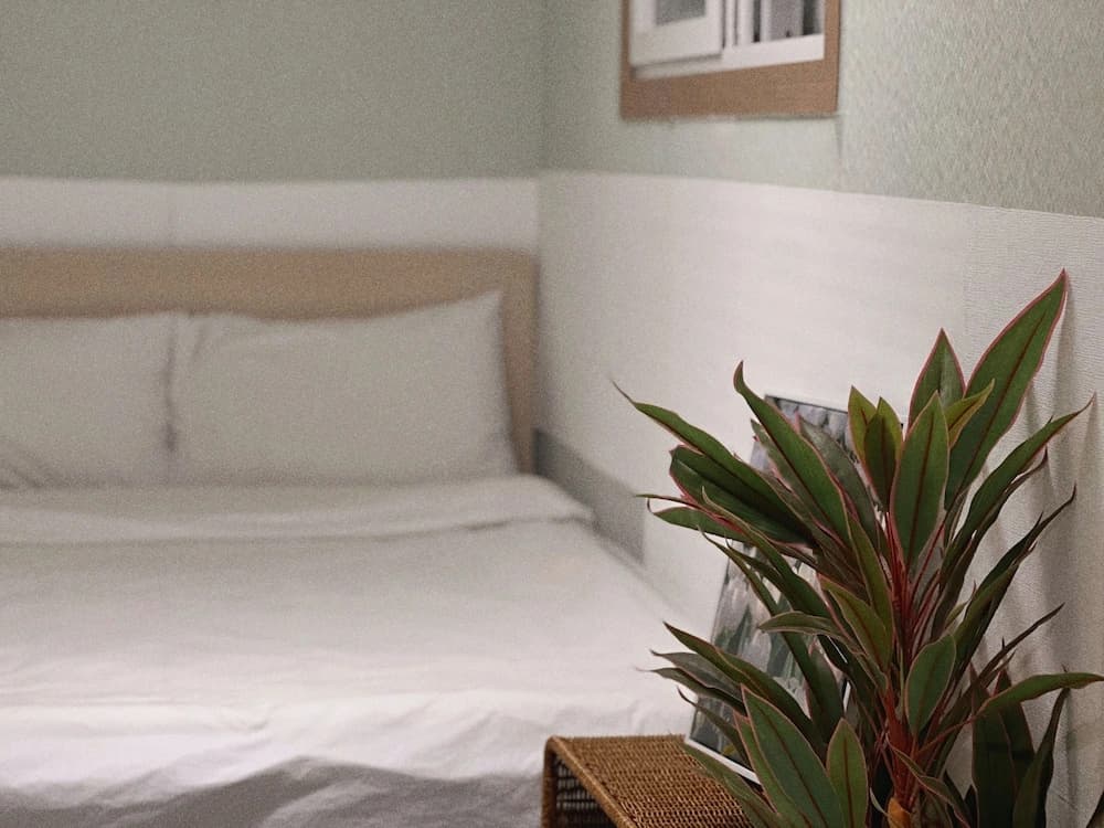 Jnineguesthouse - photo 34