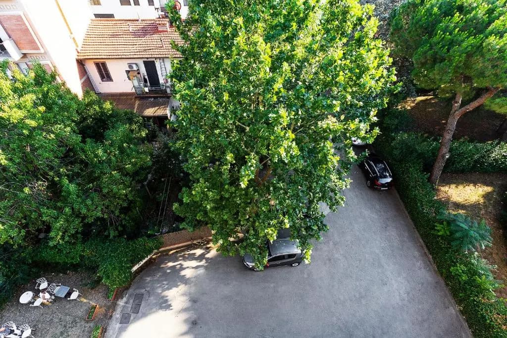 Hotel Corolle - photo 10