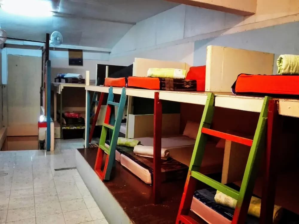 Maddy’s Hostel - photo 2