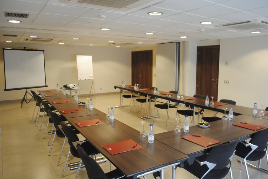 Suites Viena Plaza De Espana Hotel - photo 32
