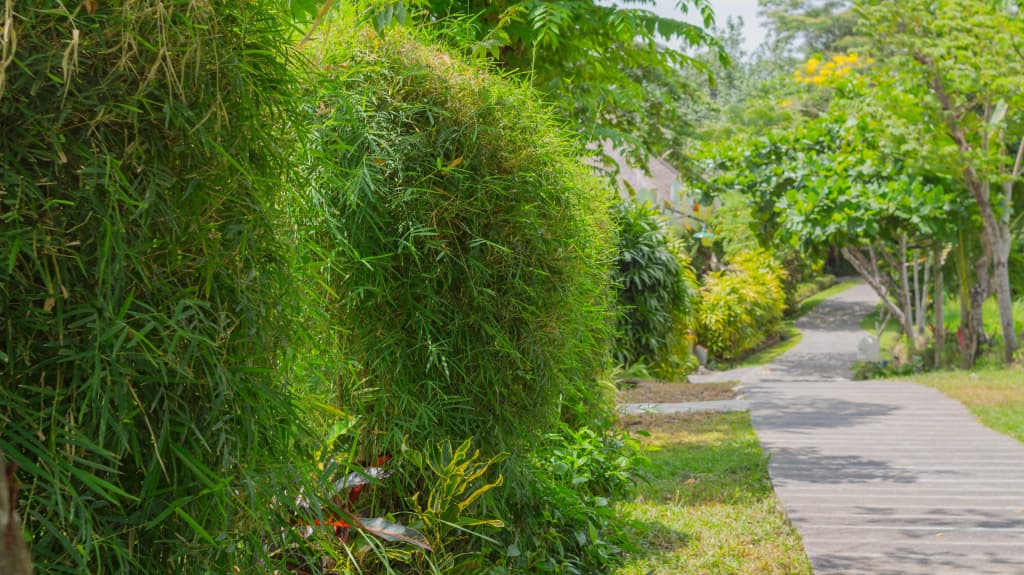 Sapulidi Resort Spa & Gallery Bali - photo 19