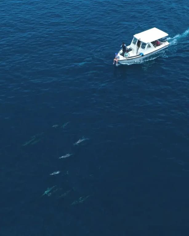 Ocean Pearl Maldives - photo 31