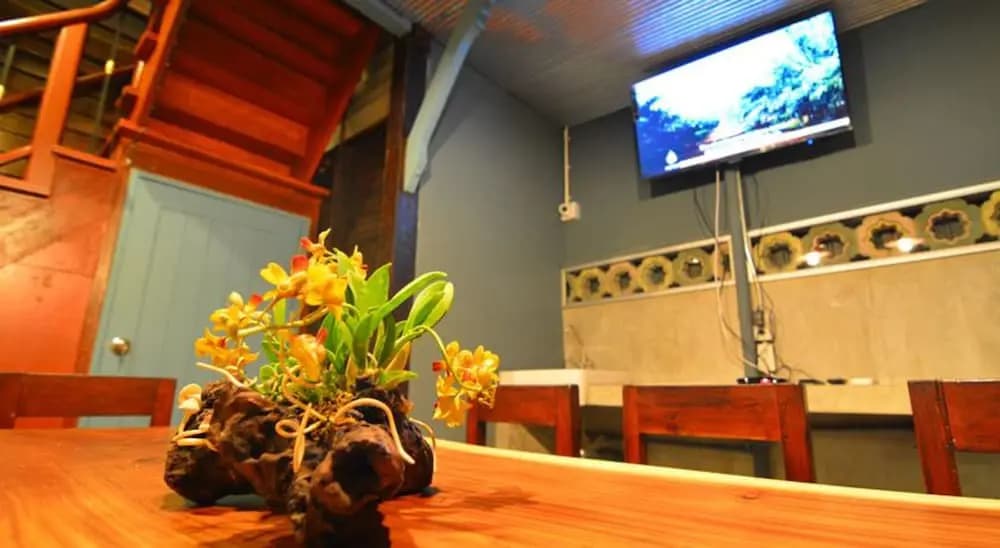 La Moon Hostel - photo 15