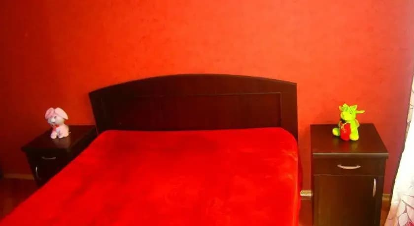 Irida - photo 3