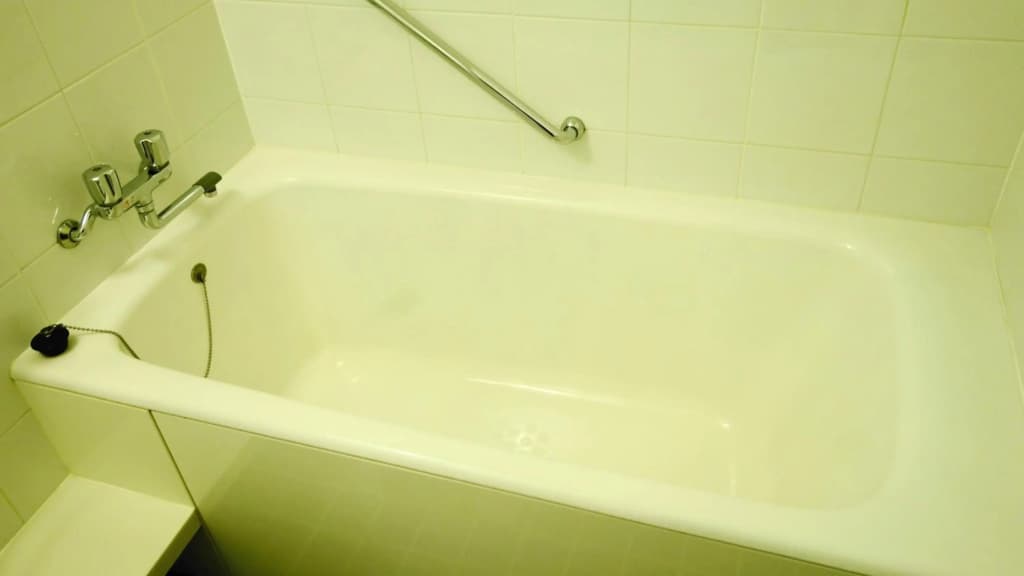 City Plaza Osaka Hotel - photo 10