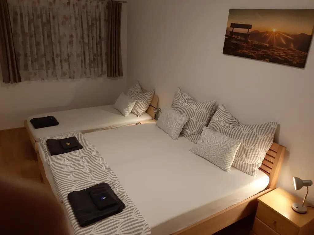 Vienna Lion Apartment - photo 5