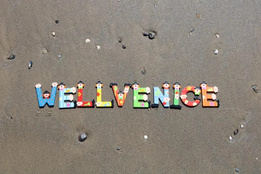 WellVenice BonBon - photo 20
