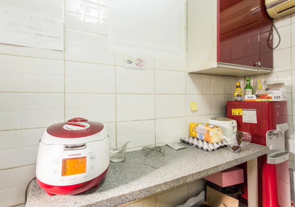Coco Livingtel - photo 14