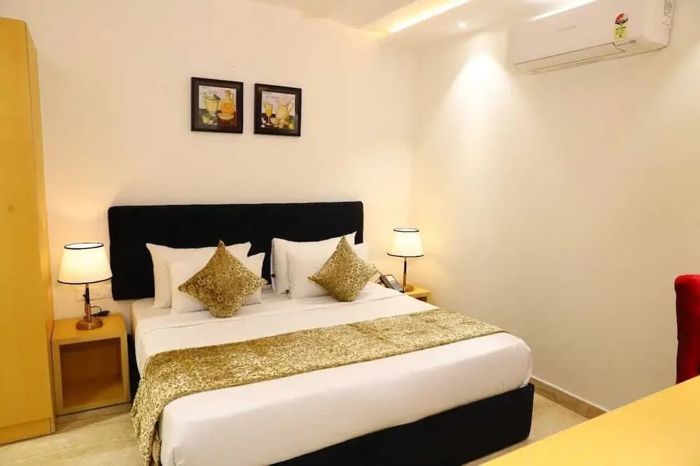 Hotel Silver Saffron Peeragarhi - photo 2