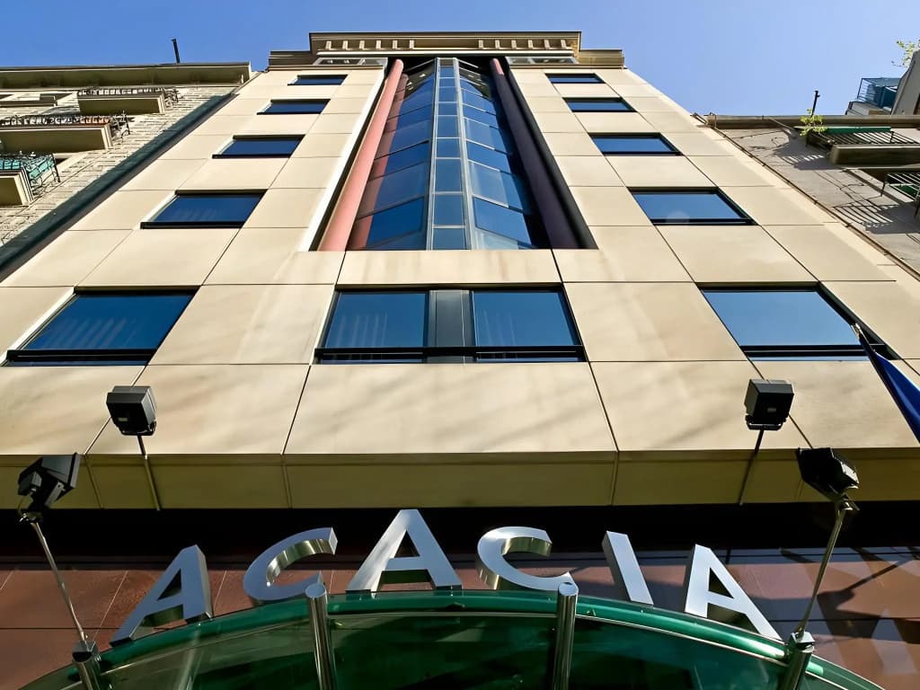 Acacia - photo 5