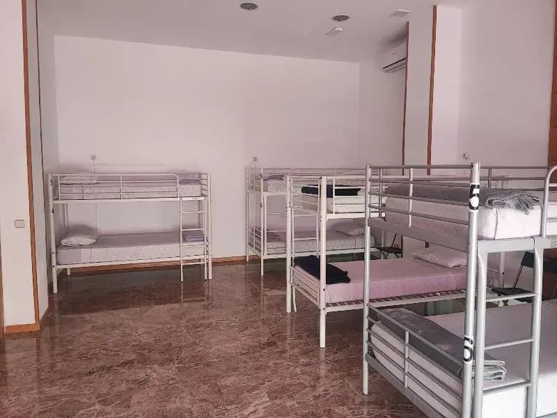 Hostel M Torres - photo 15