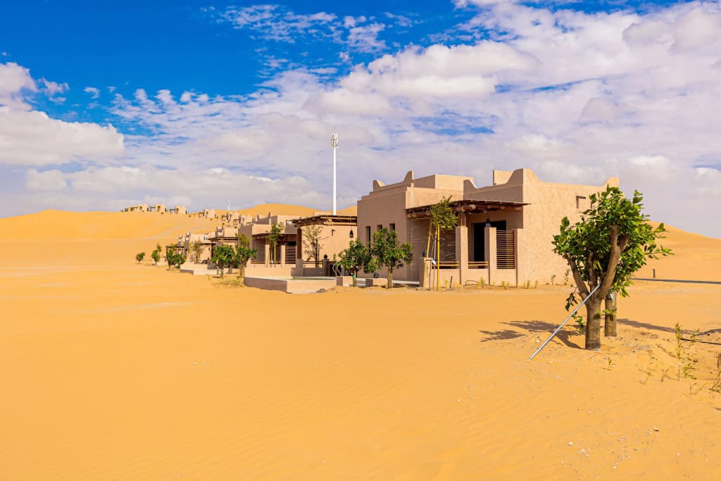 Bab Al Nojoum Bateen Liwa Resort - photo 14