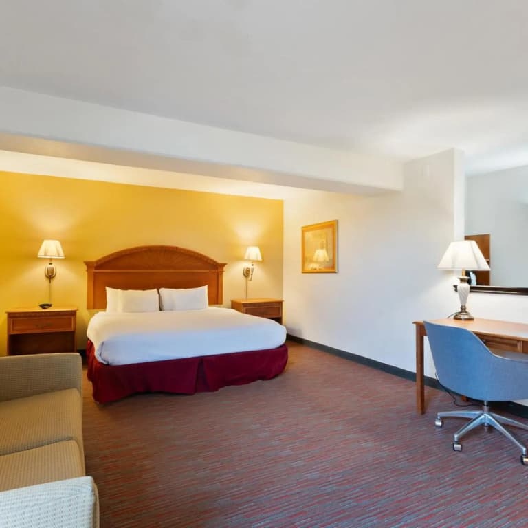 Orlando Palms Hotel - photo 32