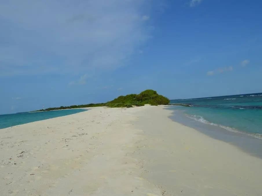 Vashafaru Inn - photo 14