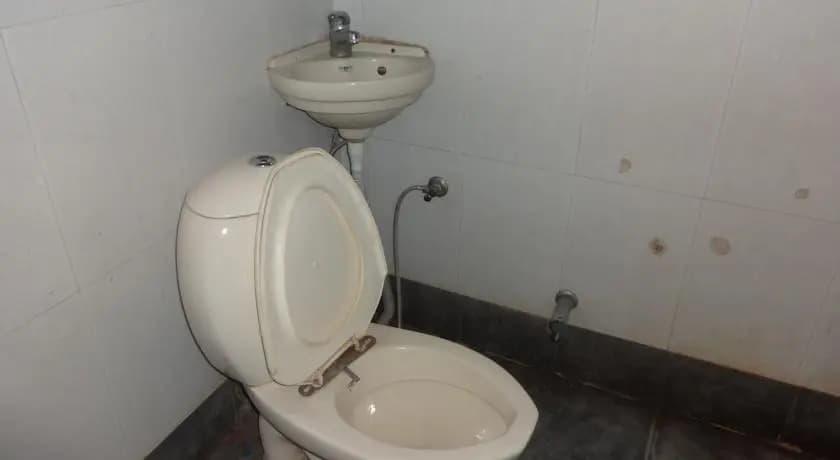 Priyanka Guest House - photo 7