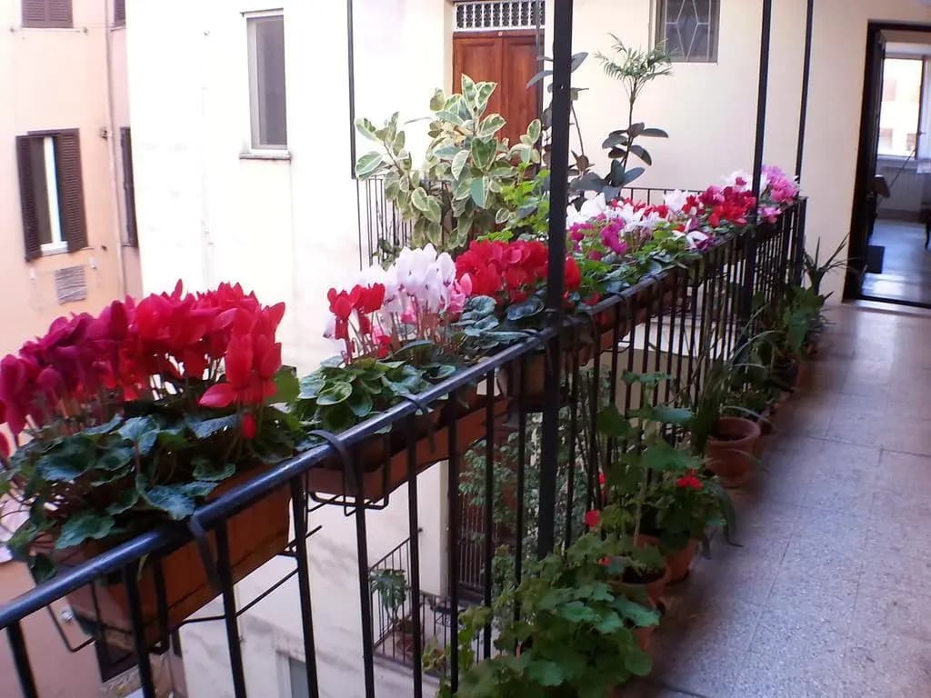 Lilium House Roma - photo 14