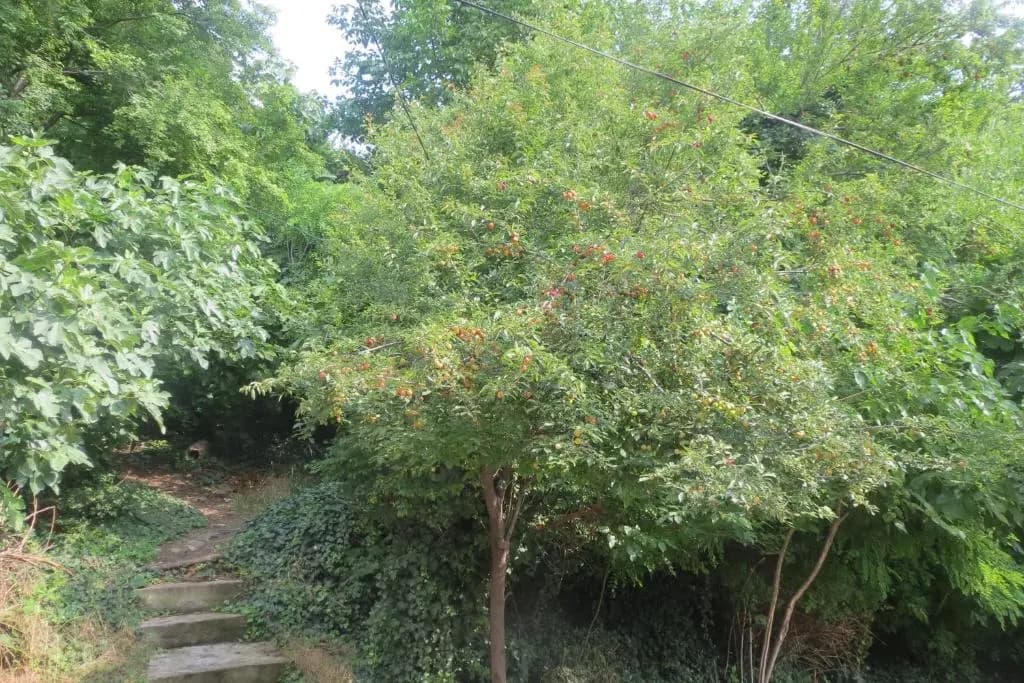 11 Elene Akhvlediani Khevi Flat - photo 7