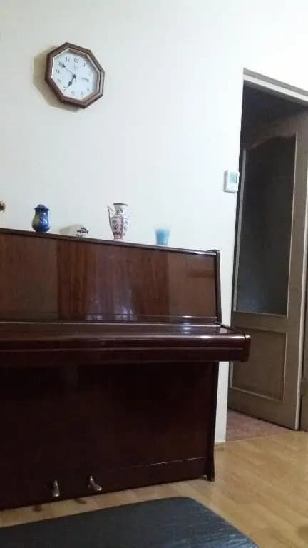 Irina's Apartment - photo 11