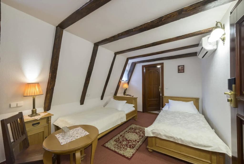 Hotel Cerny Slon - photo 5